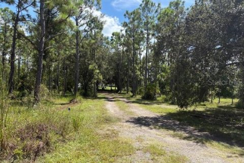 Land in Fort Myers, Florida № 1898581 - photo 6
