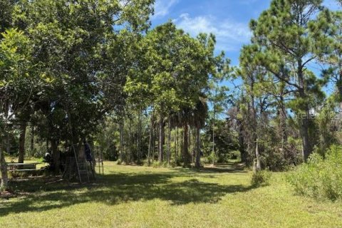 Land in Fort Myers, Florida № 1898581 - photo 4