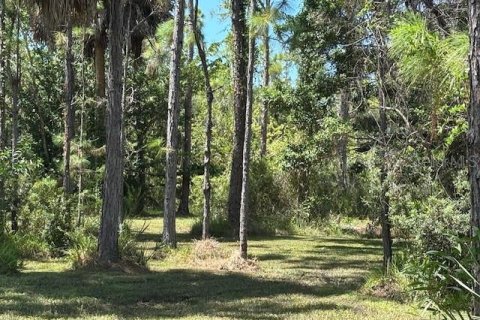 Land in Fort Myers, Florida № 1898581 - photo 9