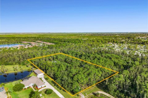 Land in Fort Myers, Florida № 1898581 - photo 27