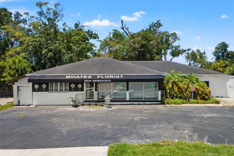 Immobilier commercial à Tampa, Floride 284.47 m2 № 2209987