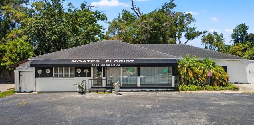 Immobilier commercial à Tampa, Floride 284.47 m2 № 2209987
