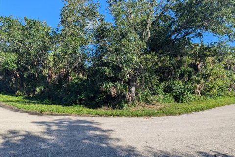 Land in Port Charlotte, Florida № 2160549 - photo 2