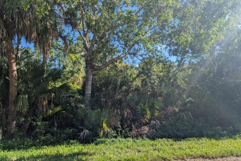 Land in Port Charlotte, Florida № 2160549 - photo 3