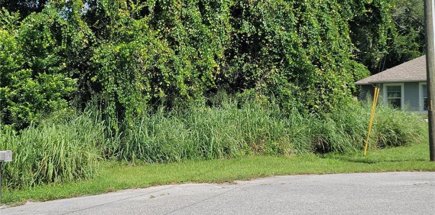 Terrain à Deltona, Floride № 882594