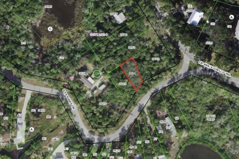 Terreno en Crystal River, Florida № 2233063