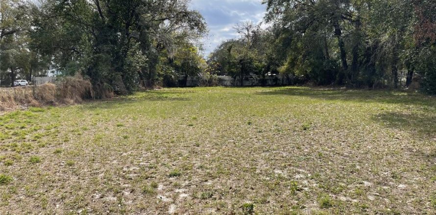 Land in Orlando, Florida № 1833635
