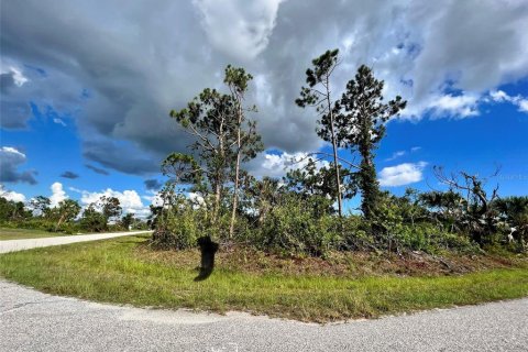 Land in Port Charlotte, Florida № 2160123