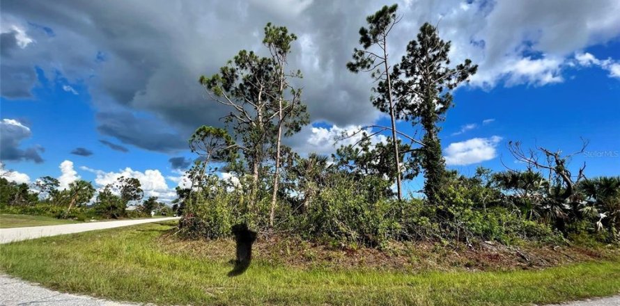 Land in Port Charlotte, Florida № 2160123