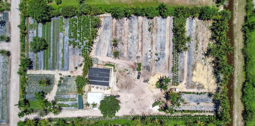 Terreno en Lake Worth, Florida № 1187621