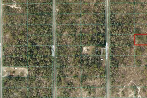 Terreno en venta en Dunnellon, Florida № 1854085 - foto 1