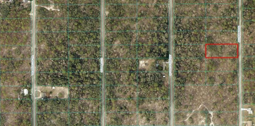 Terreno en Dunnellon, Florida № 1854085