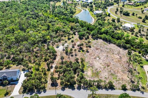 Terrain à vendre à Punta Gorda, Floride № 2402905 - photo 5