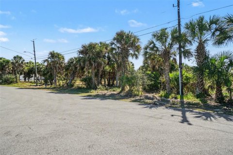 Terrain à vendre à Punta Gorda, Floride № 2402905 - photo 6