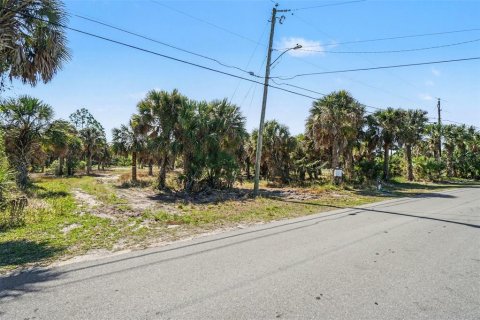 Terrain à vendre à Punta Gorda, Floride № 2402905 - photo 4