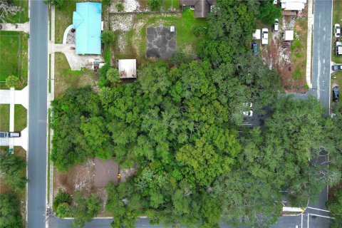 Terreno en alquiler en Mount Dora, Florida № 1849667 - foto 22