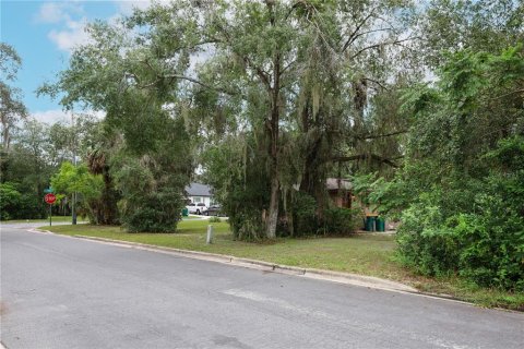 Terreno en alquiler en Mount Dora, Florida № 1849667 - foto 24