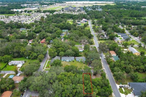Terreno en alquiler en Mount Dora, Florida № 1849667 - foto 11