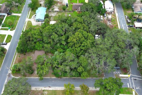 Terrain à louer à Mount Dora, Floride № 1849667 - photo 2