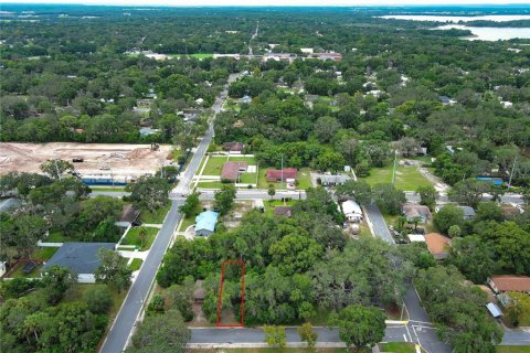 Terreno en alquiler en Mount Dora, Florida № 1849667 - foto 3