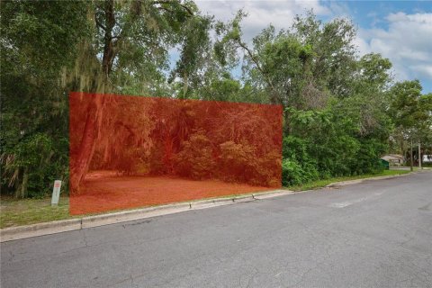 Terreno en alquiler en Mount Dora, Florida № 1849667 - foto 26