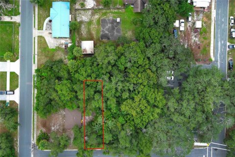 Terrain à louer à Mount Dora, Floride № 1849667 - photo 21