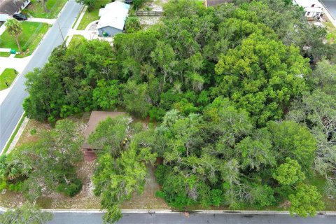 Terreno en alquiler en Mount Dora, Florida № 1849667 - foto 20
