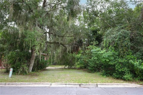 Terreno en alquiler en Mount Dora, Florida № 1849667 - foto 25