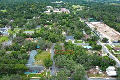 Terreno en alquiler en Mount Dora, Florida № 1849667 - foto 7