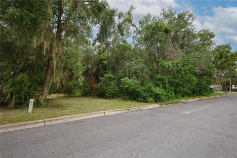 Terreno en alquiler en Mount Dora, Florida № 1849667 - foto 27