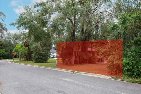 Terreno en alquiler en Mount Dora, Florida № 1849667 - foto 23