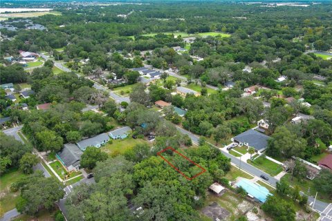 Terreno en alquiler en Mount Dora, Florida № 1849667 - foto 9