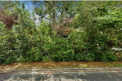 Terreno en alquiler en Mount Dora, Florida № 1849667 - foto 1