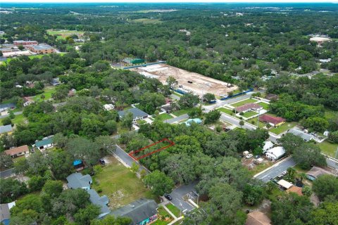 Terreno en alquiler en Mount Dora, Florida № 1849667 - foto 5
