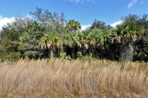 Land in North Port, Florida № 2228666