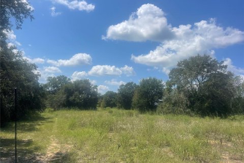 Terrain à Umatilla, Floride № 2135474