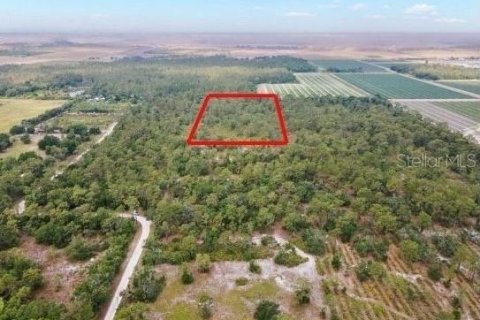 Land in Bradenton, Florida № 1549065 - photo 1