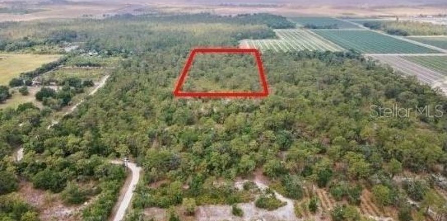 Land in Bradenton, Florida № 1549065