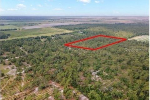 Land in Bradenton, Florida № 1549065 - photo 2