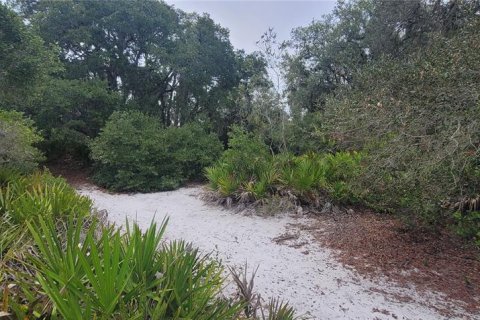Terrain à vendre à Sebring, Floride № 2221631 - photo 6