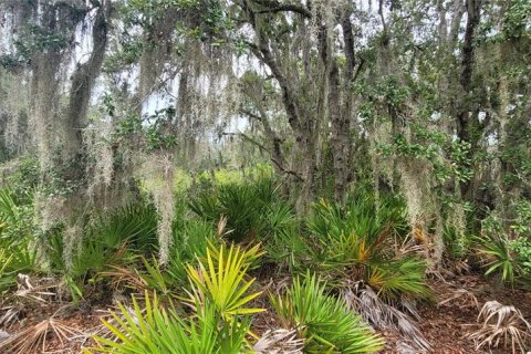 Land in Sebring, Florida № 2221631