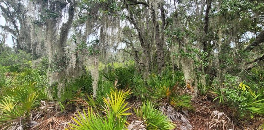Terrain à Sebring, Floride № 2221631