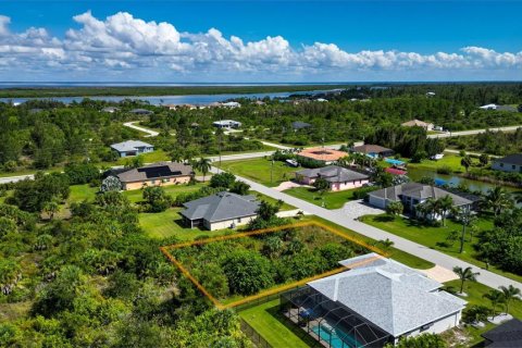 Land in Port Charlotte, Florida № 2393722 - photo 5