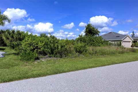 Land in Port Charlotte, Florida № 2393722 - photo 2