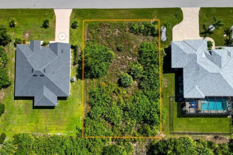 Land in Port Charlotte, Florida № 2393722 - photo 14