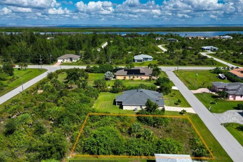 Land in Port Charlotte, Florida № 2393722 - photo 7