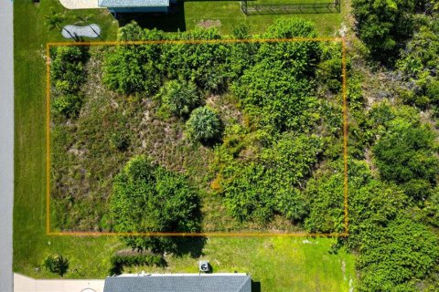 Land in Port Charlotte, Florida № 2393722 - photo 13