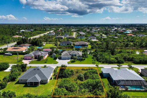 Land in Port Charlotte, Florida № 2393722 - photo 3