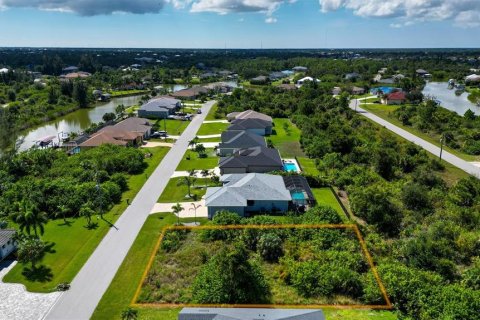 Land in Port Charlotte, Florida № 2393722 - photo 12