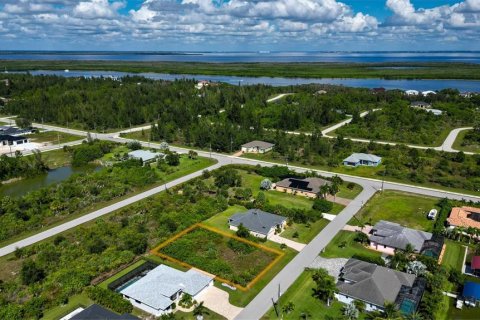 Land in Port Charlotte, Florida № 2393722 - photo 17